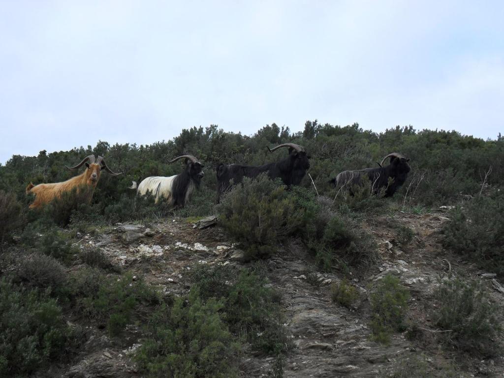Gite U Licetu A La Campagne Oreta Kültér fotó
