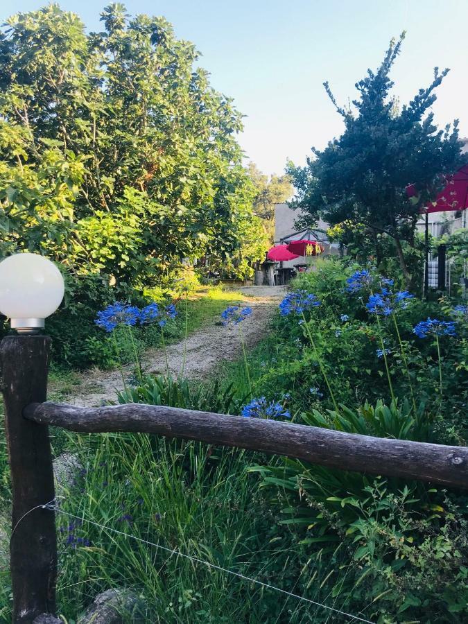 Gite U Licetu A La Campagne Oreta Kültér fotó